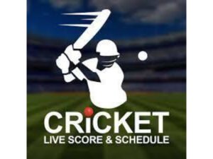 Choosing Online Cricket Id for Secure Experience